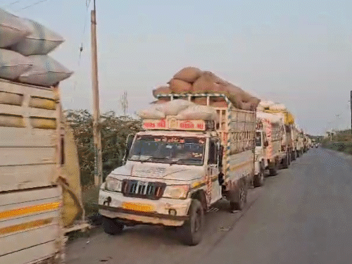 ગુજરાત APMC હરાજી બંધ: વરસાદી આગાહીથી ખેડૂતો મુશ્કેલીમાં